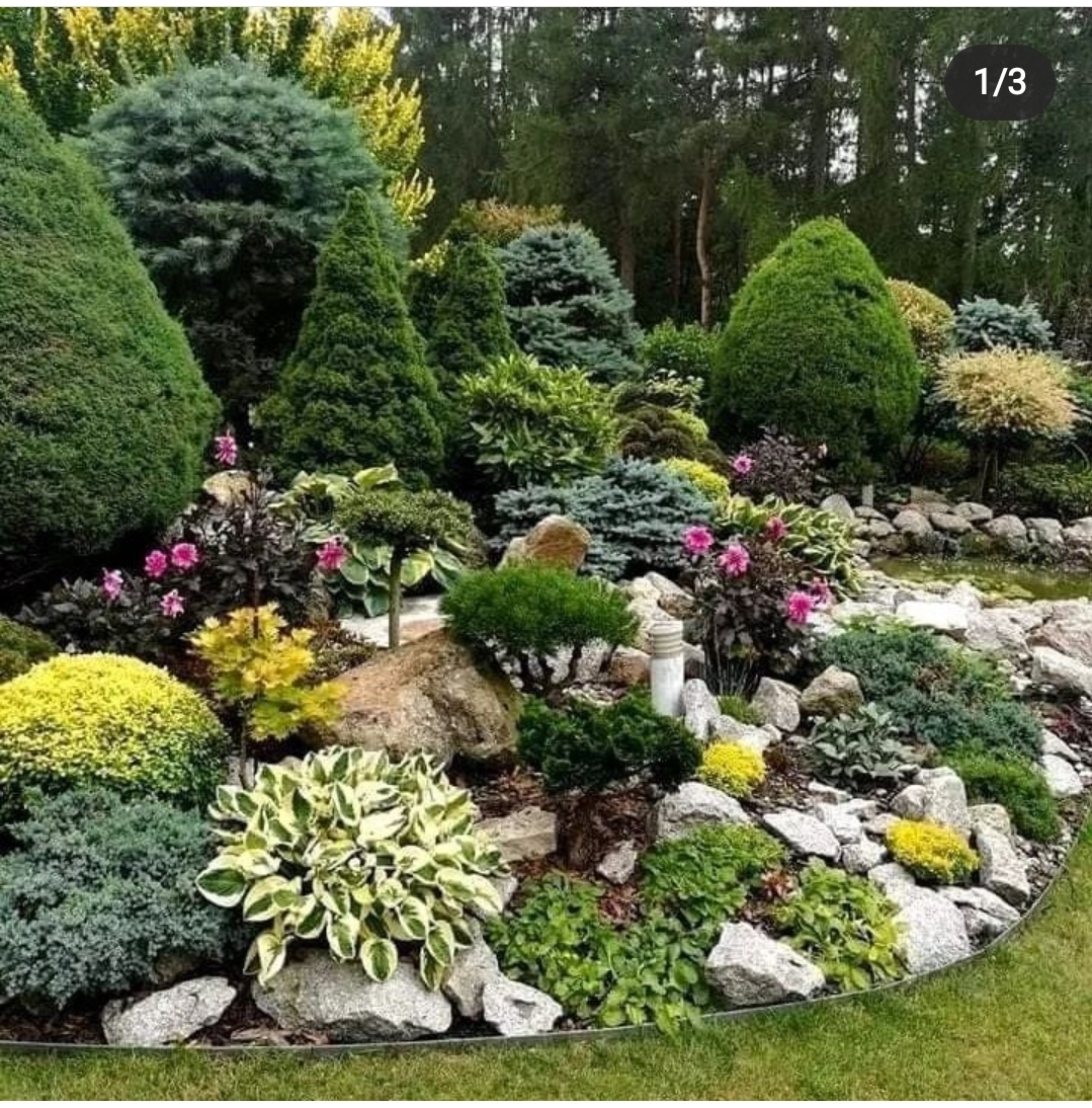 فروش انواع گل و گیاه به قیمت نهالستان